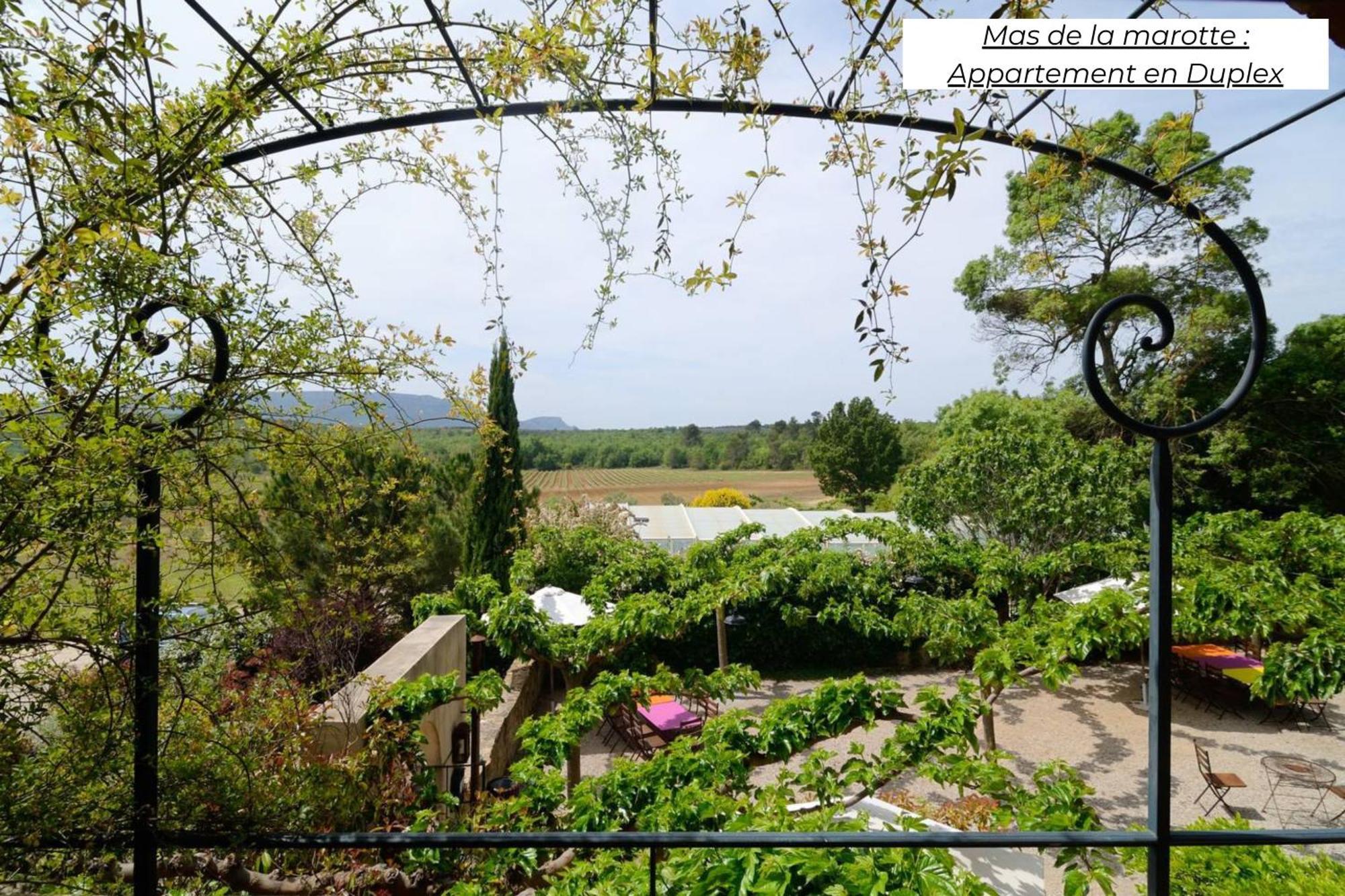 Ferienwohnung Domaine Les Terres De Saint-Hilaire Ollières Exterior foto